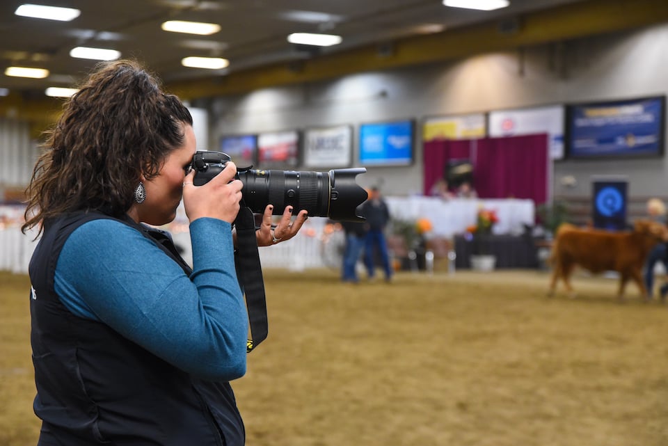 Canadian livestock photographer